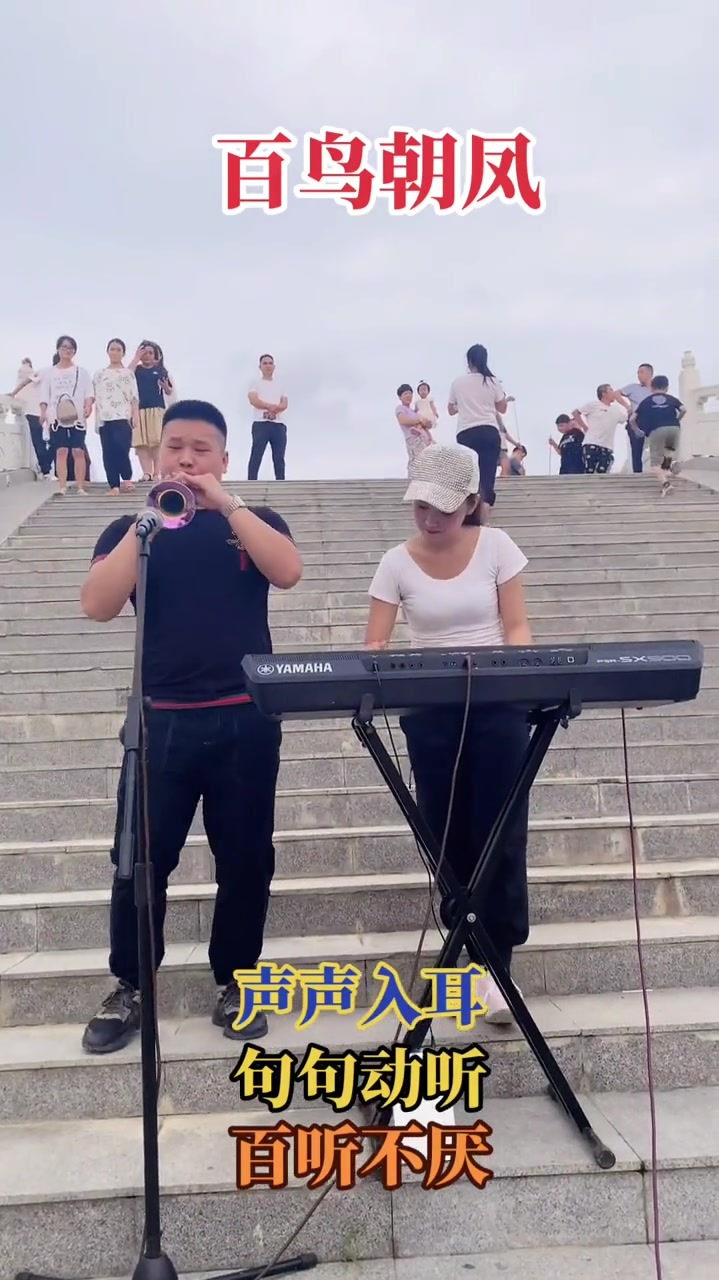 鹏仔演奏经典唢呐百年朝凤