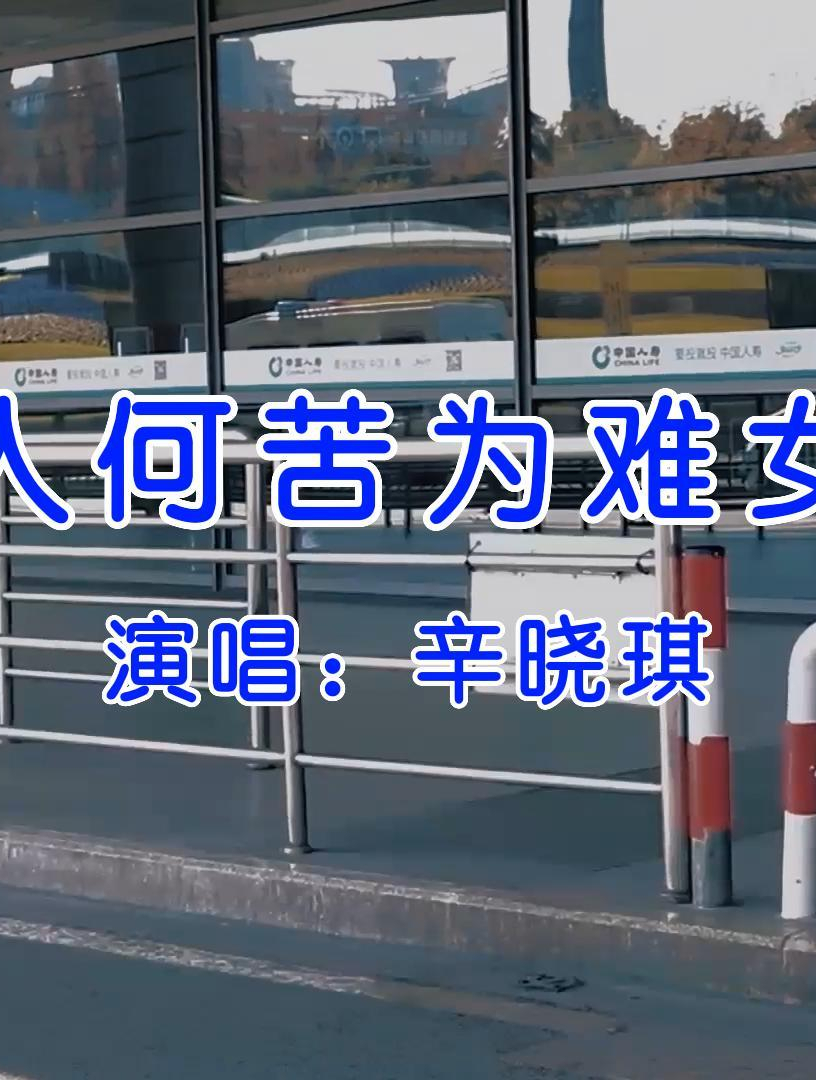 经典流行热门音乐歌曲《辛晓琪-女人何苦为难女人》