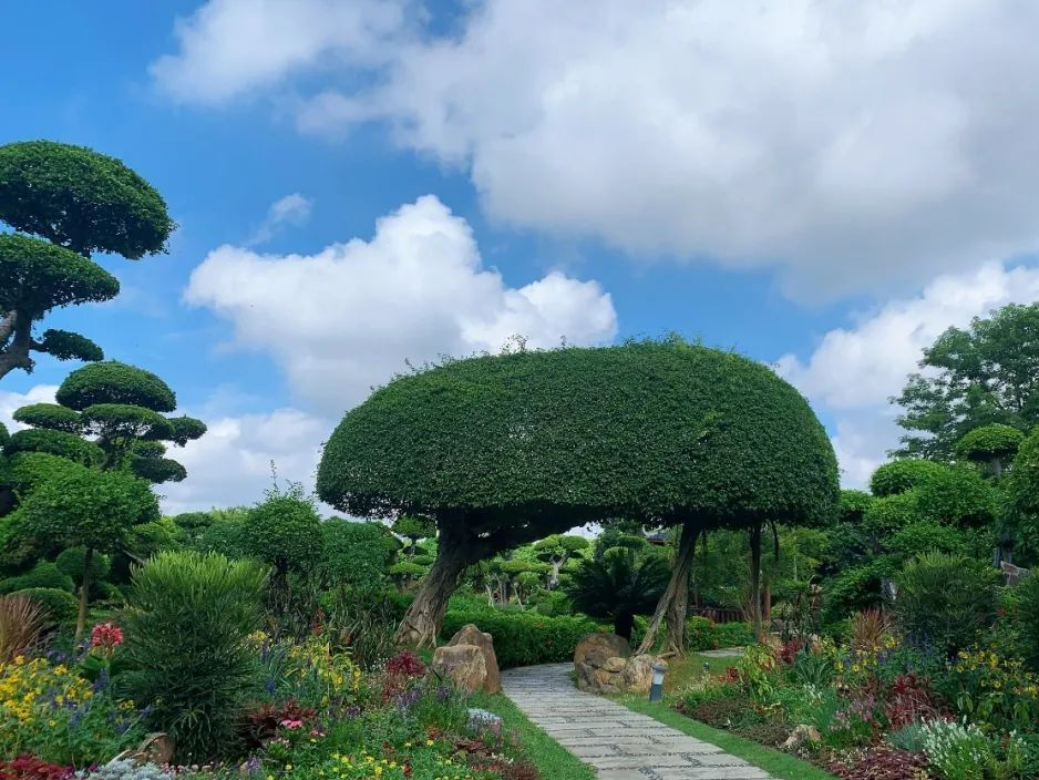 南宁南湖公园景点介绍