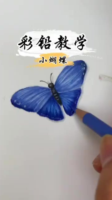 彩铅教学画一只蓝色小蝴蝶