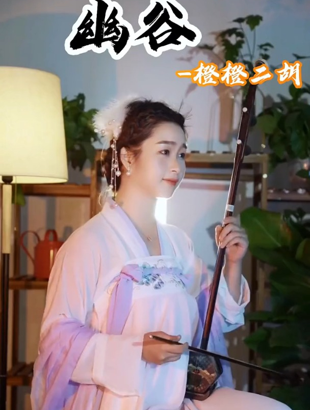 二胡演奏幽谷兰在幽谷不悲胡音潘潘不俗