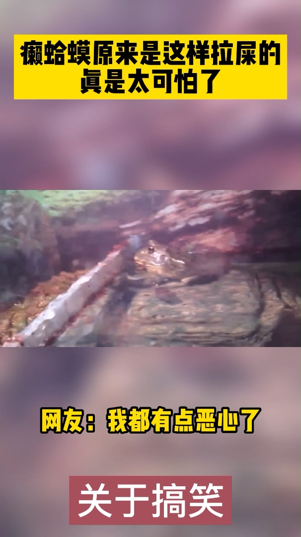 癞蛤蟆原来是这样拉屎的真是太可怕了网友开眼了