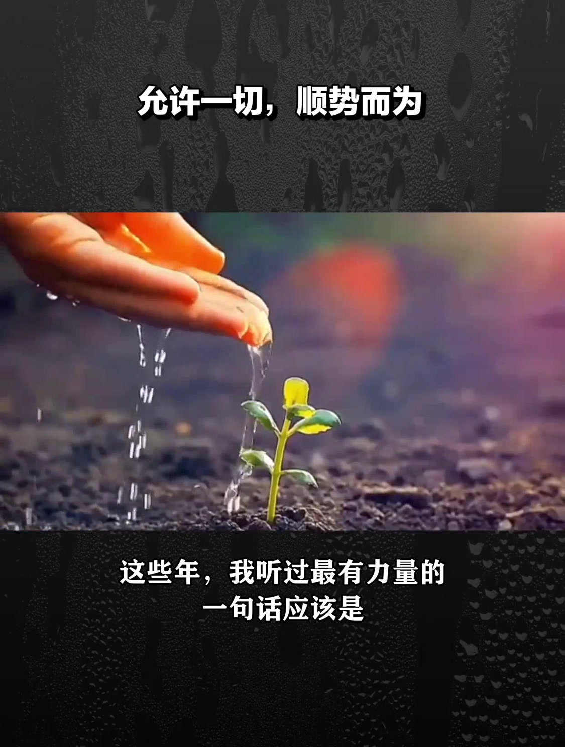 允许一切,顺势而为