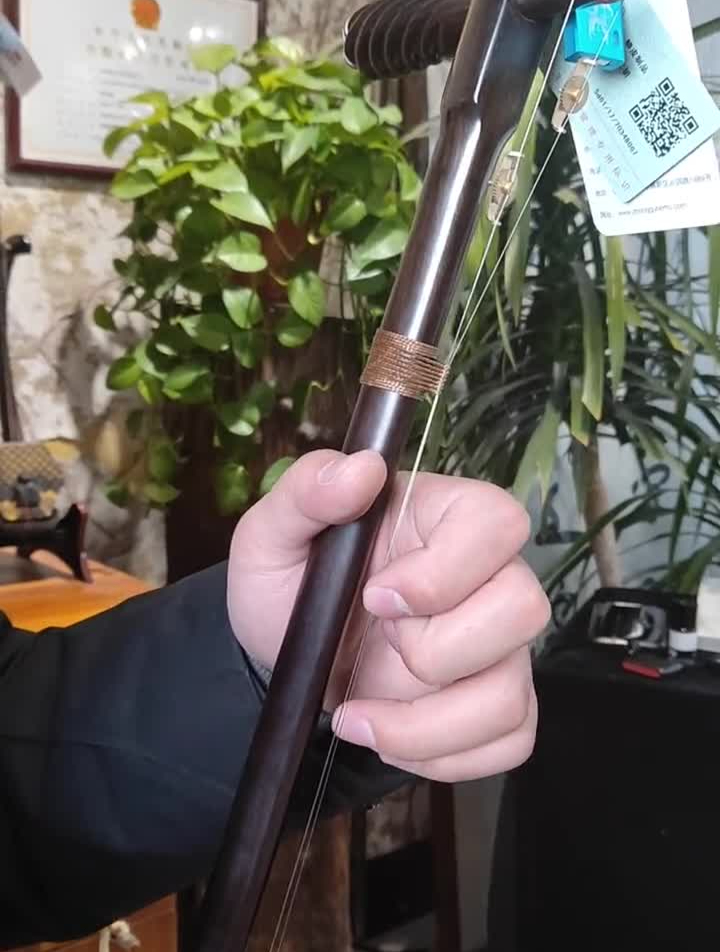 零基础学二胡c调音阶二胡教学二胡乐器