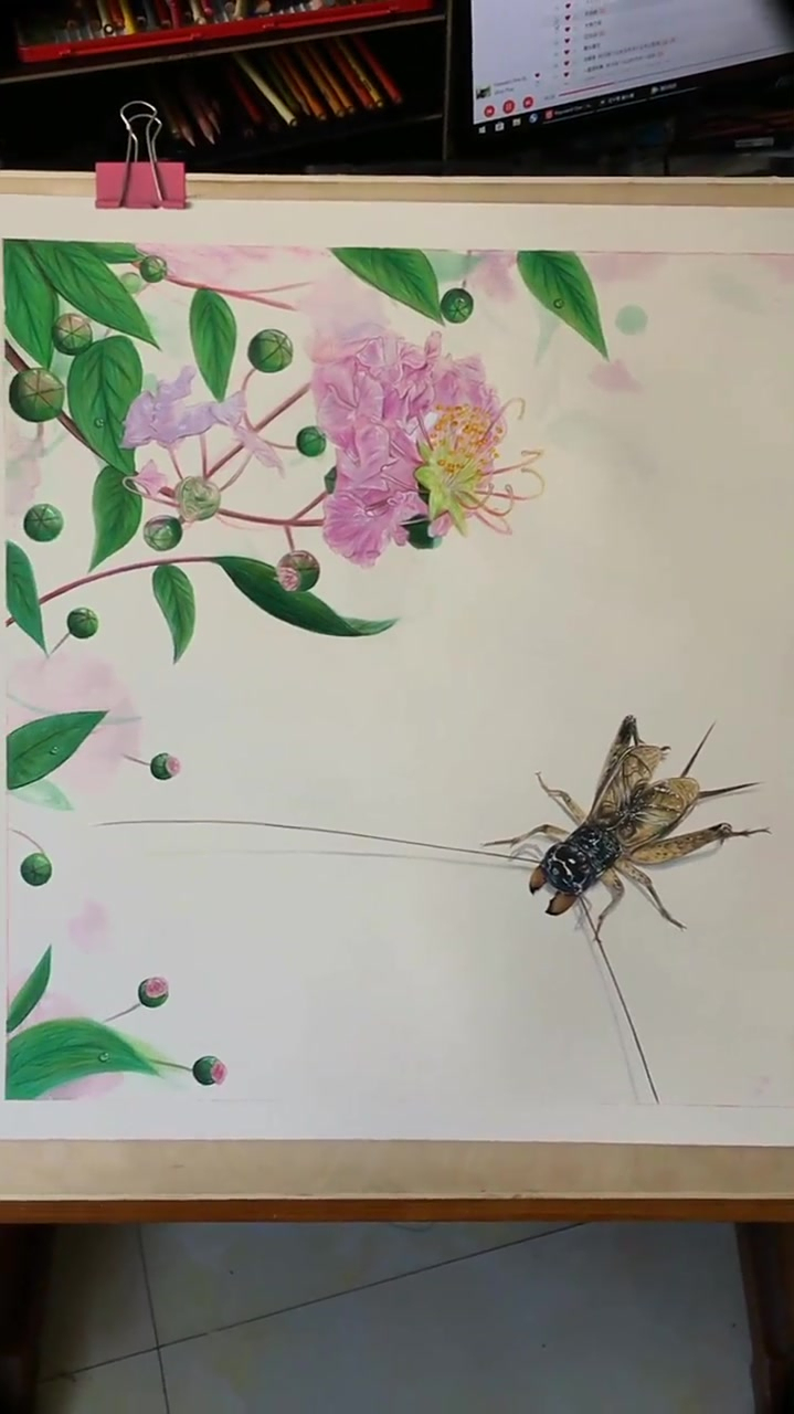 手绘蛐蛐,有人喜欢蛐蛐嘛