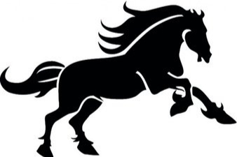 职场早知道:培养千里马变换赛道的基本能力