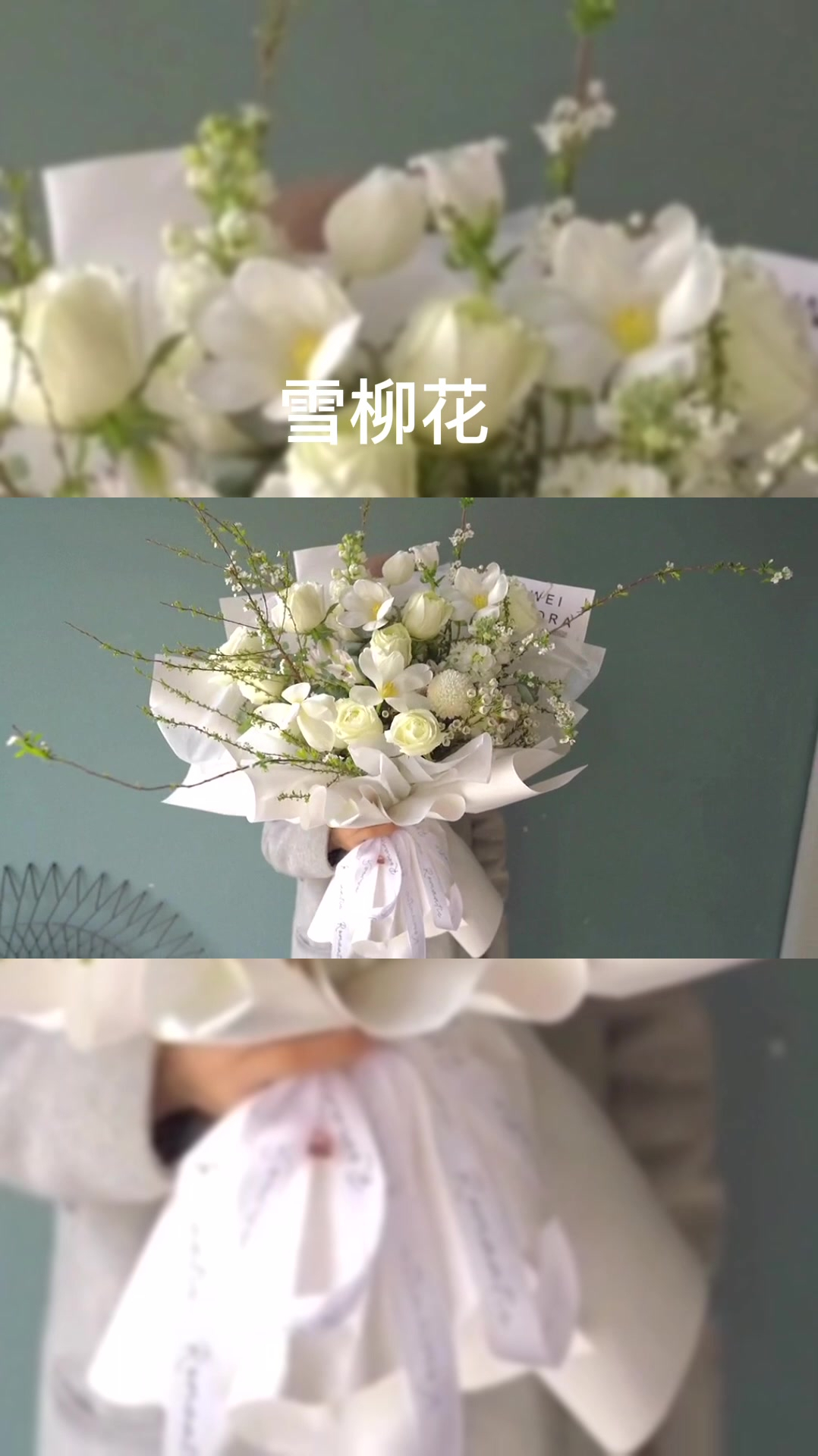 形态轻盈,花枝柔美,雪柳花太神仙了吧