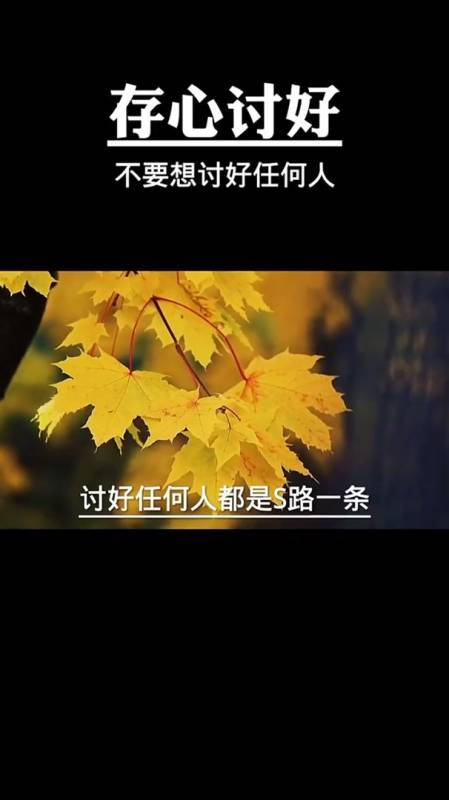 易经文化一个人不能存心讨好讨好别人就是死路一条