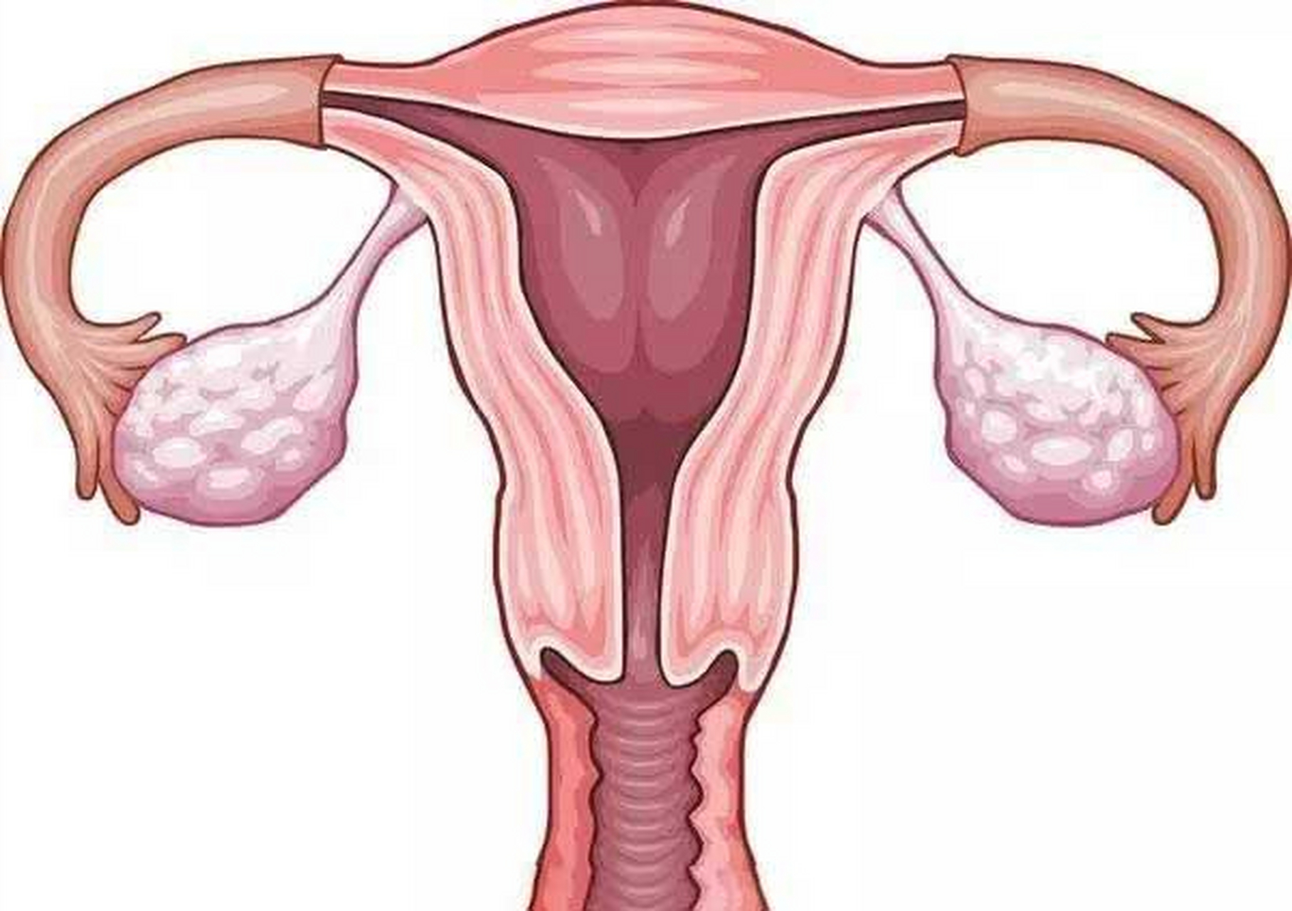 一般来说,正常子宫的大小是长7-8厘米,宽4-5厘米,厚2-3厘米.