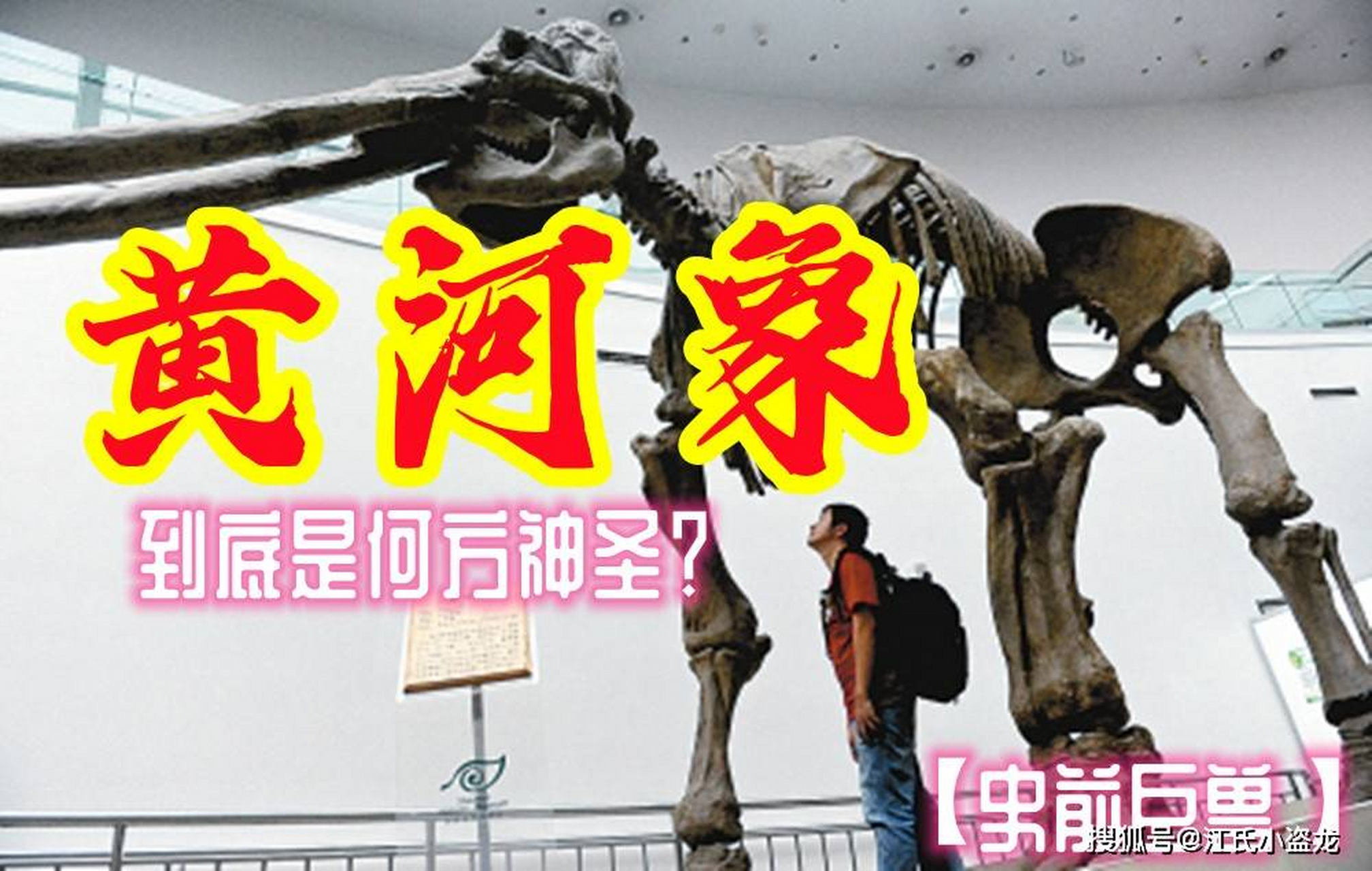 《黄河象》是小学语文课本中的一篇课文,介绍了曾经生活在中国北方