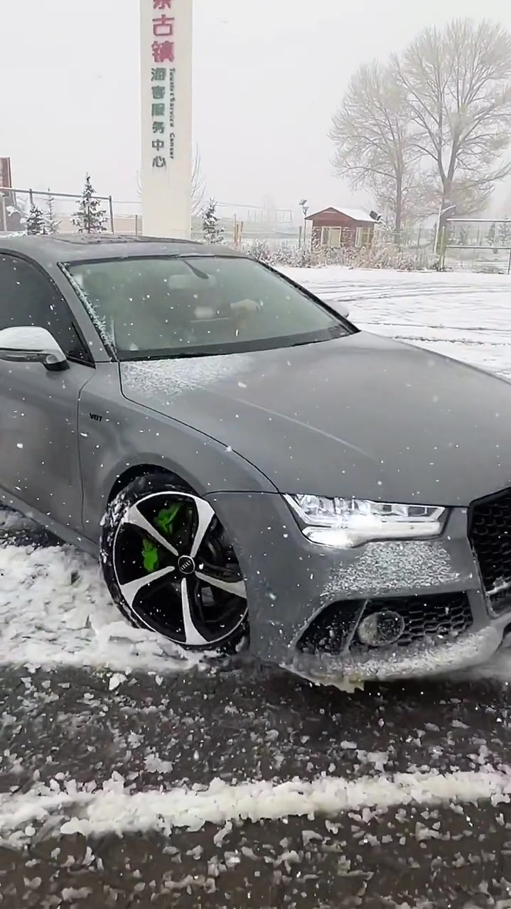 有的奥迪娇生惯养有的奥迪雪地散养