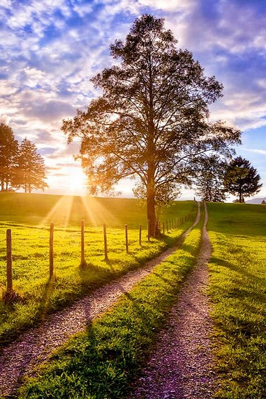 清晨的阳光,是最美的风景