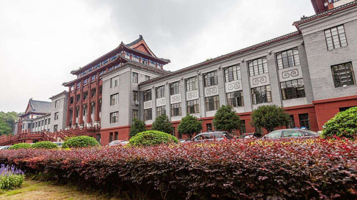 四川大学艺术类专业2022录取分数线:2023年美术专业招生共239人