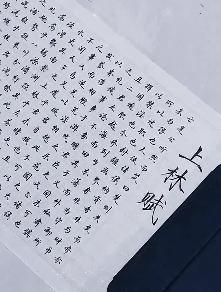 林赋我写完了,一字不落