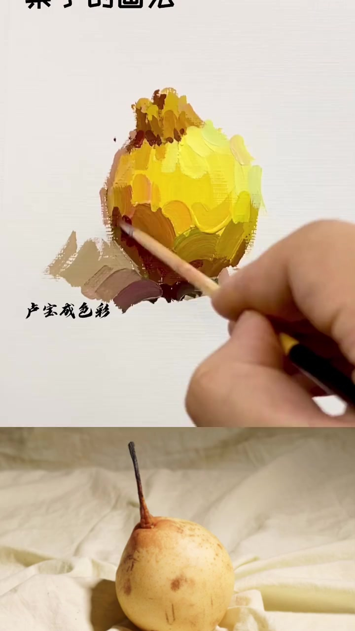 高分必备水粉静物梨的画法水粉静物梨子的画法
