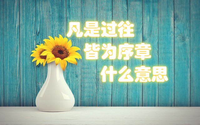 "凡是过往,皆为序章"什么意思