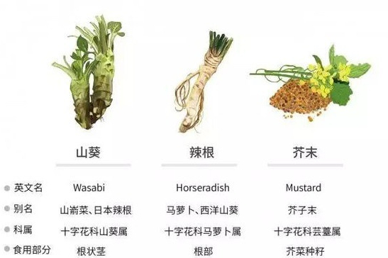 山葵?芥末?傻傻分不清楚
