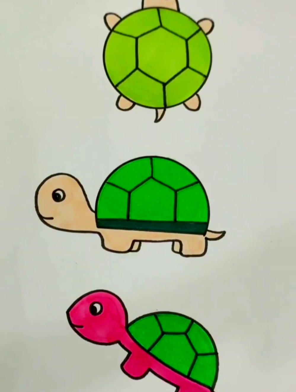 6881各种画小乌龟,你学会了第几种 可爱简笔画