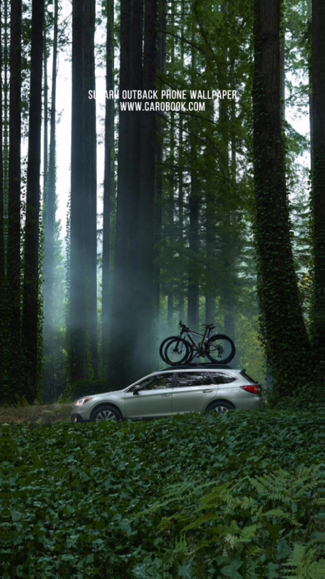 斯巴鲁汽车壁纸傲虎系列手机壁纸