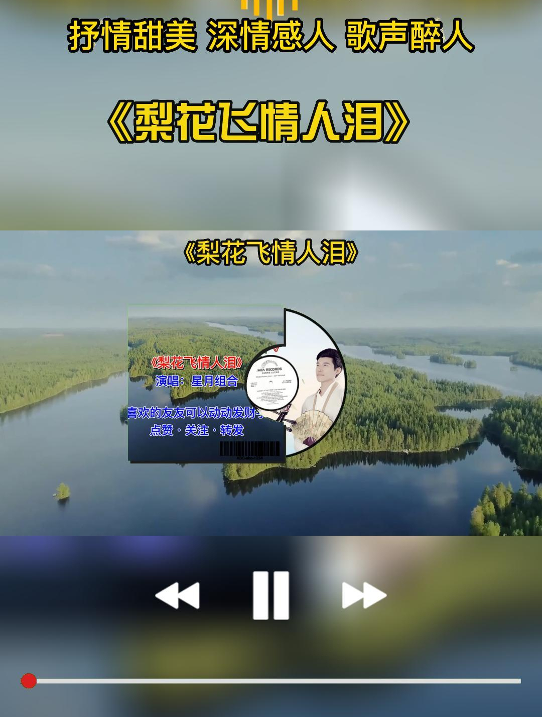 经典伤感情歌《梨花飞情人泪》抒情甜美 深情感人 歌声醉人