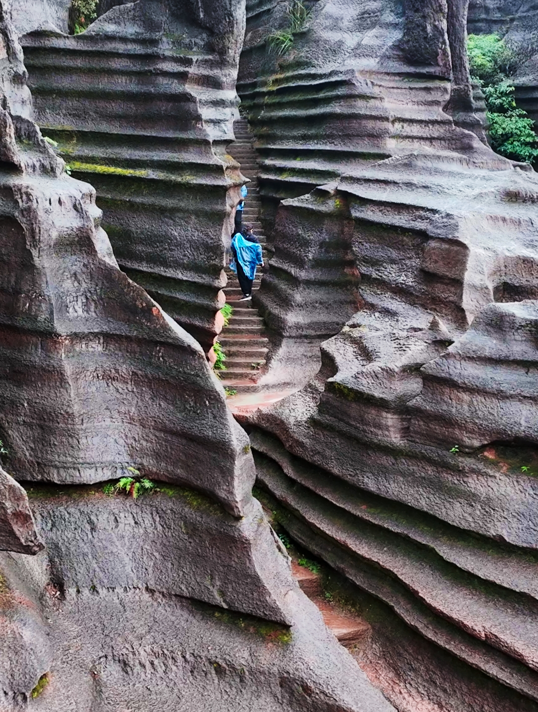 海枯了石未烂,这里就是四亿六千万年的海底世界,湘西红石林