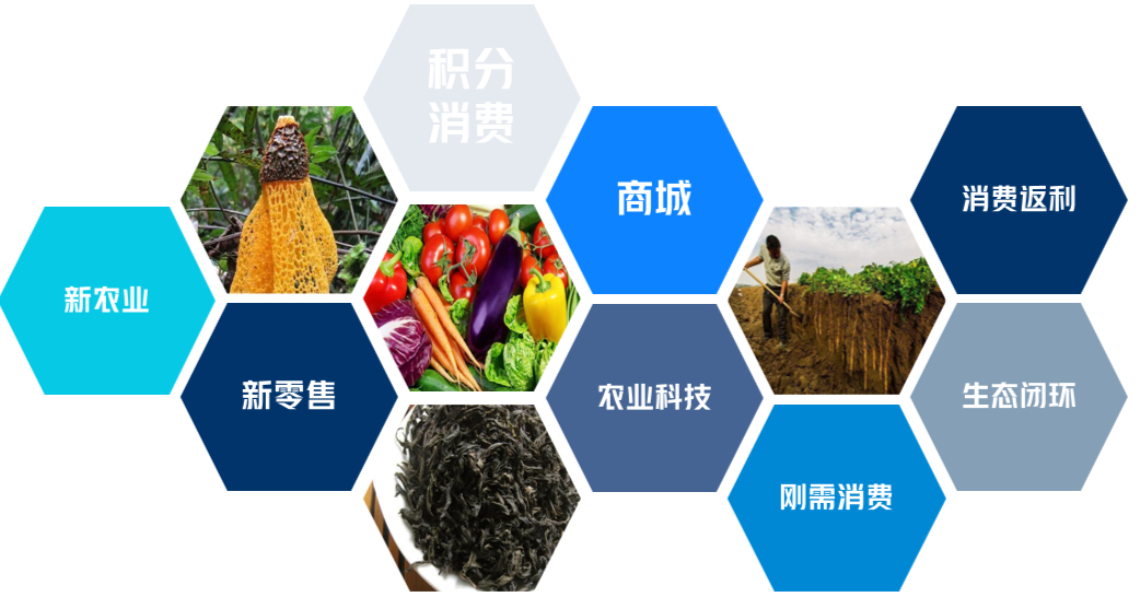 持续深耕农产品期货,造就幸福金融