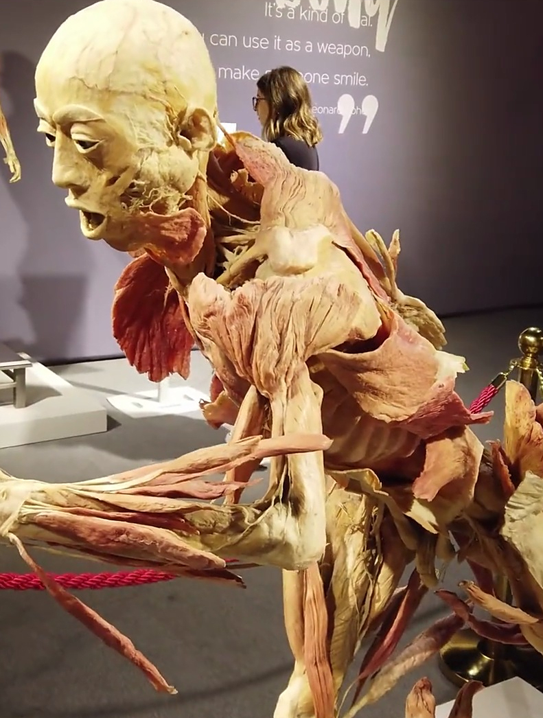 致敬每一位大体老师