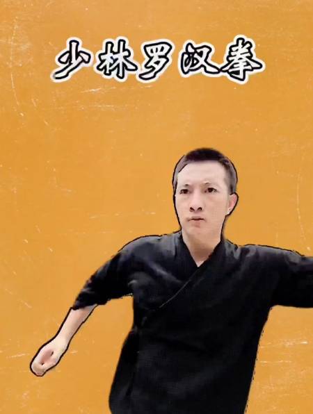 少林罗汉拳短小精悍且刚健有力
