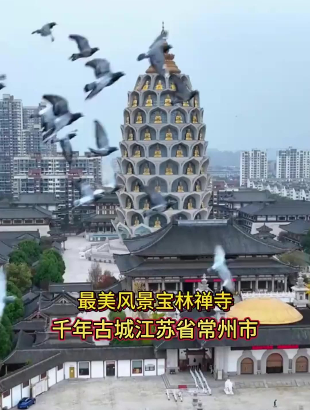 俗称大菠萝的常州般若山宝林禅寺