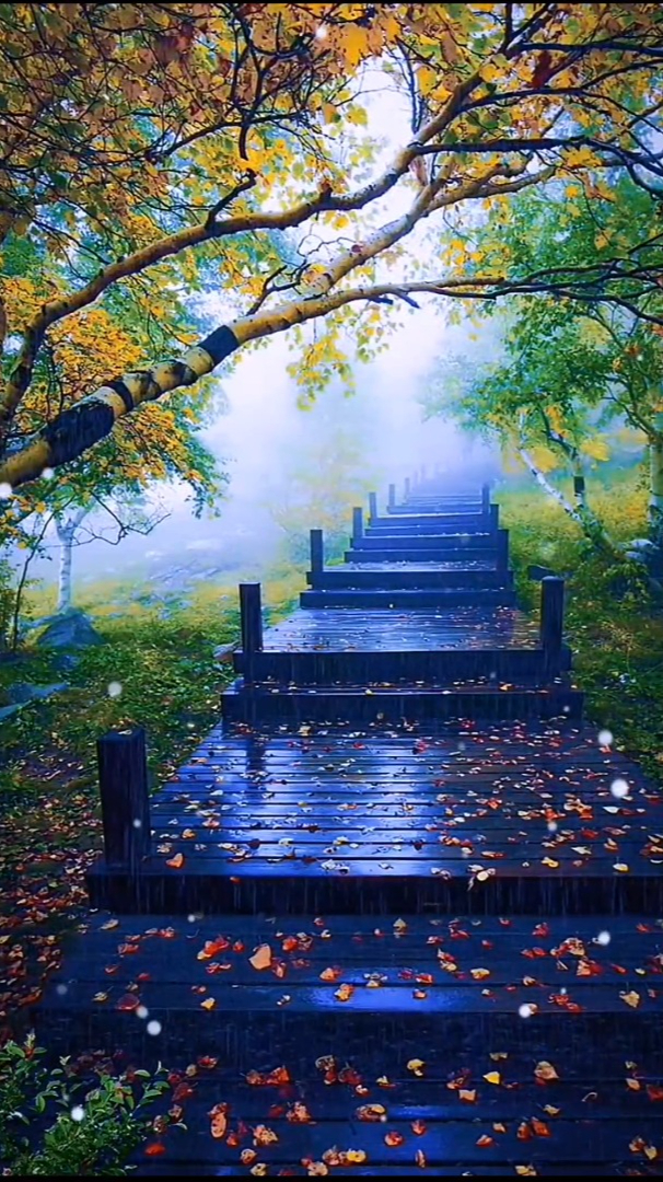 优美风景:如果看到我的作品,能够让你烦躁的心情平静