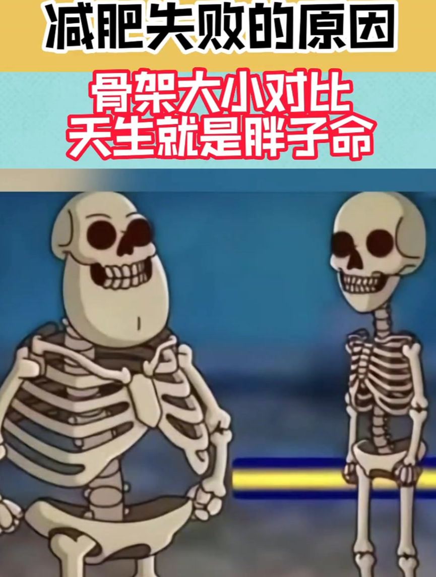 减肥失败的原因,骨架大小对比,天生就是胖子命