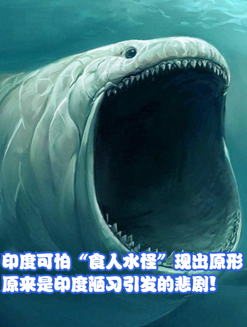 印度可怕"食人水怪"现出原形,原来是人类陋习引发的悲剧!