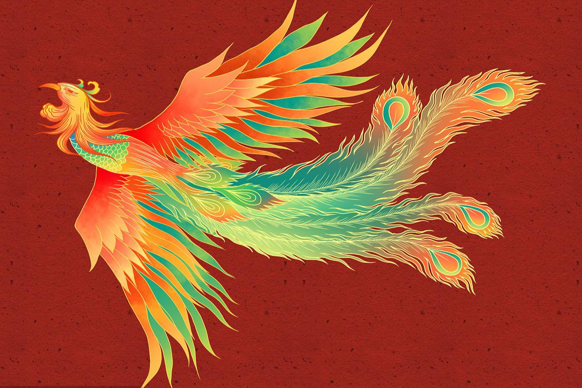 孔雀和凤凰在生物学特性,象征意义和文化背景上存在明显区别.