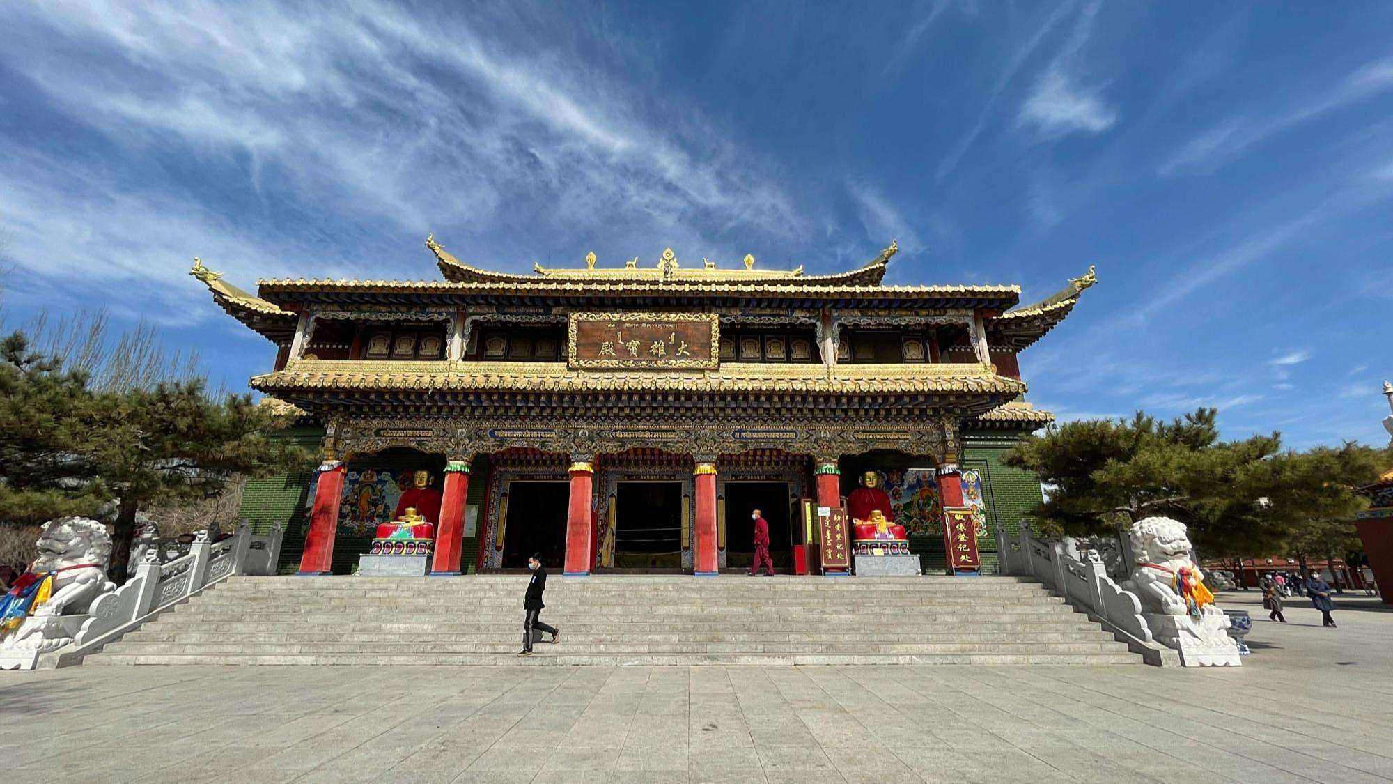 内蒙古通辽市大乐林寺有两棵神树,一棵是自己长出来的,人甚奇之