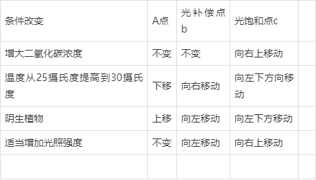 二氧化碳补偿点图解图片