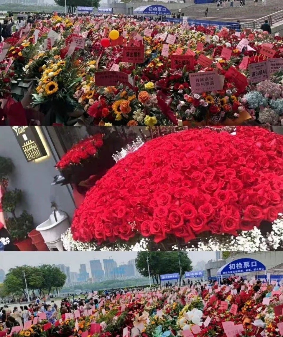 肖战:如果红海是救赎,那么花海便是一场明目张胆的偏爱