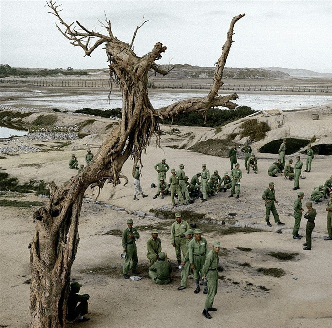 解放大担岛失利,登岛部队覆没,副参谋长和记者壮烈牺牲