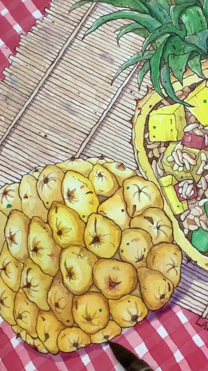 钢笔淡彩,菠萝饭绘画过程