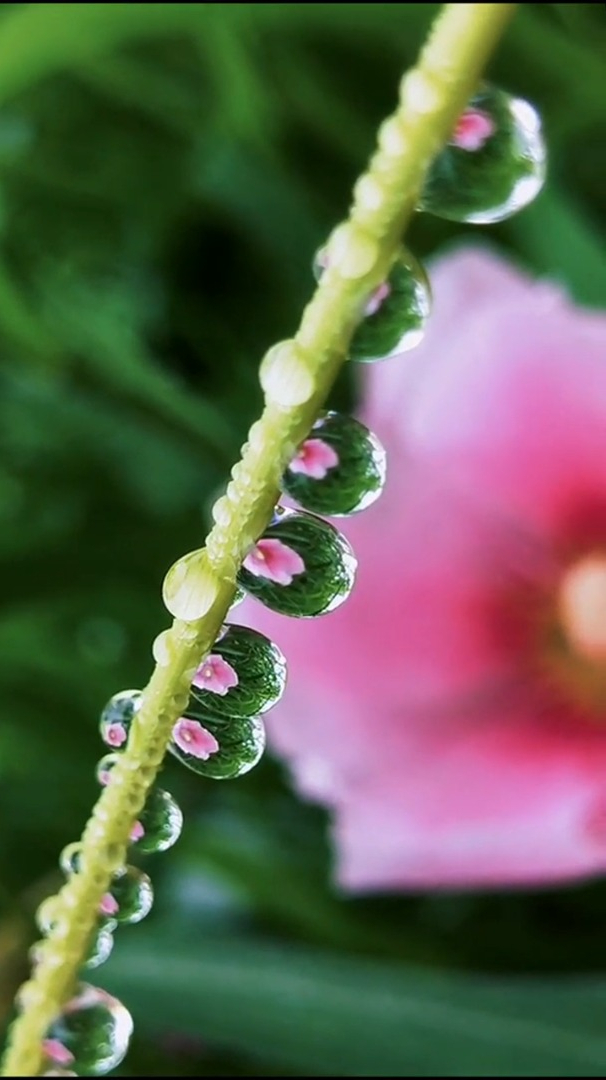 风景欣赏人生最美是淡然是心静如水的淡然就这样淡淡的