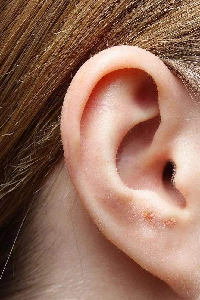 耳朵不同命不同?"穷人耳""富人耳"有啥差别?你的耳朵是啥样