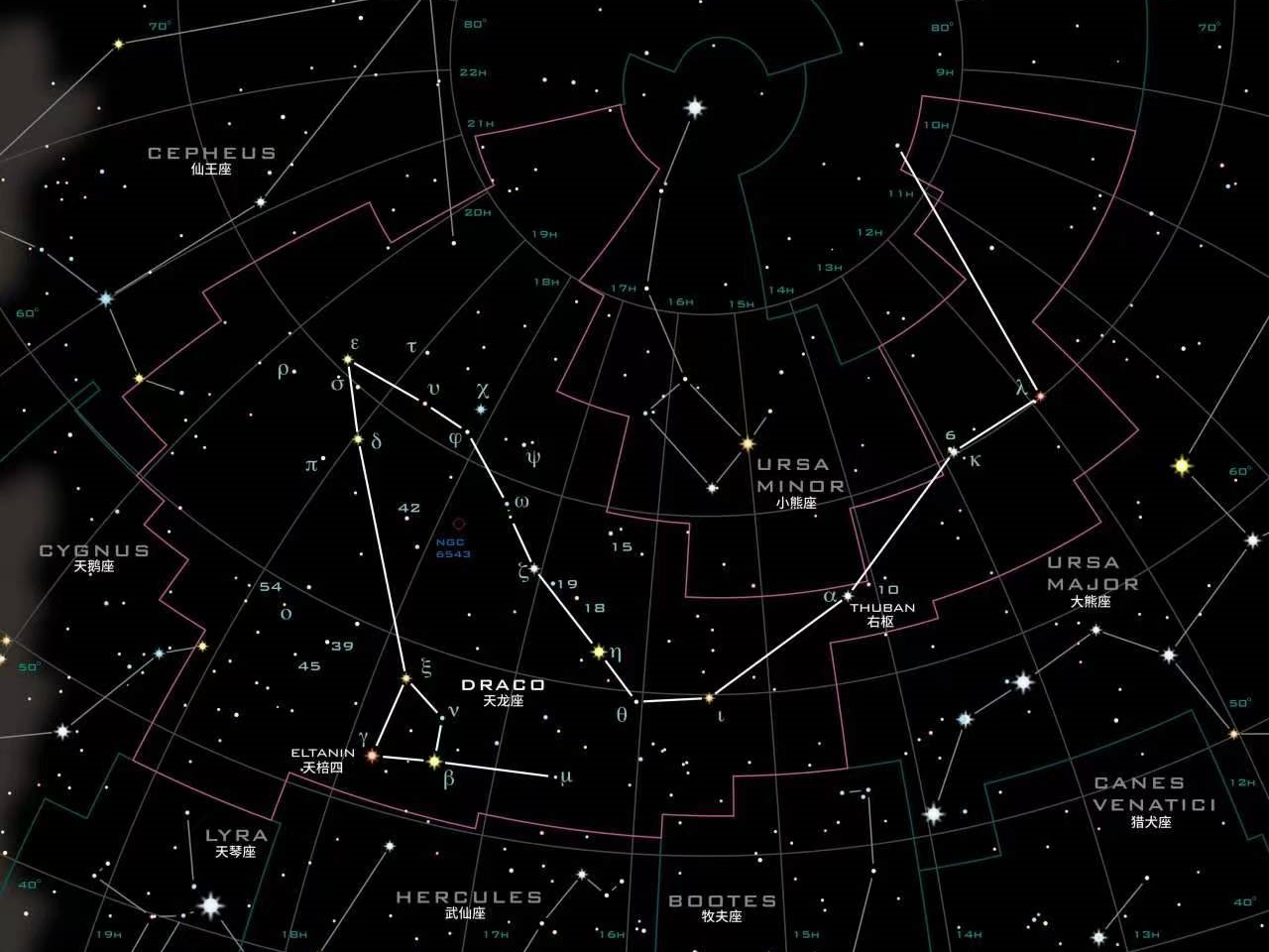 八十八星座之天龙座