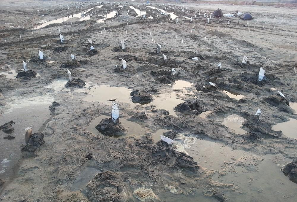 软地基处理真空堆载联合预压法