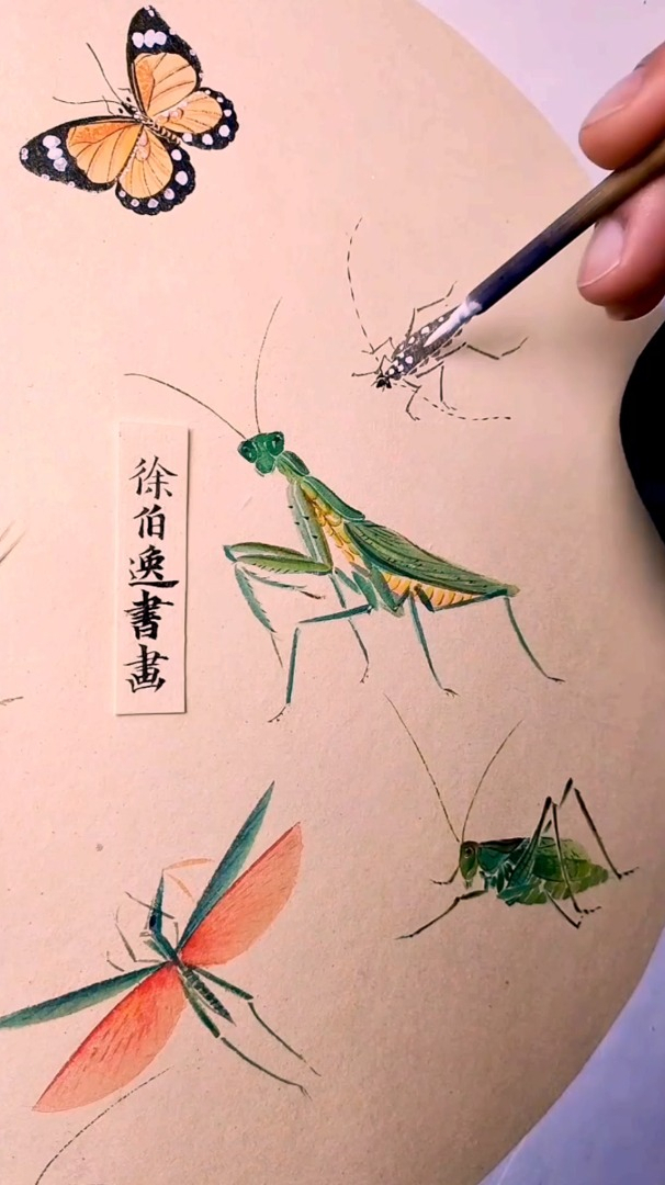 好看的国画,聊聊天笔画天牛-度小视