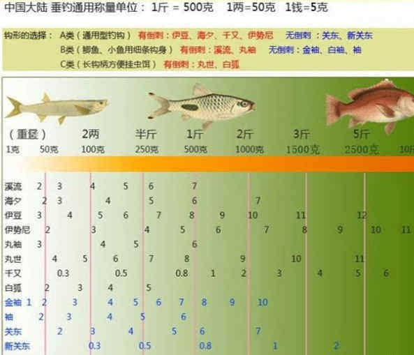 伊豆10号钩钓多大鱼图片