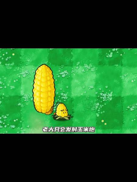 植物大战僵尸:僵尸三兄弟vs玉米三兄弟,谁更强?-度小视