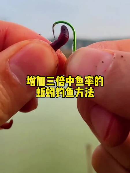 蚯蚓的正确挂法,你学会了吗?-度小视