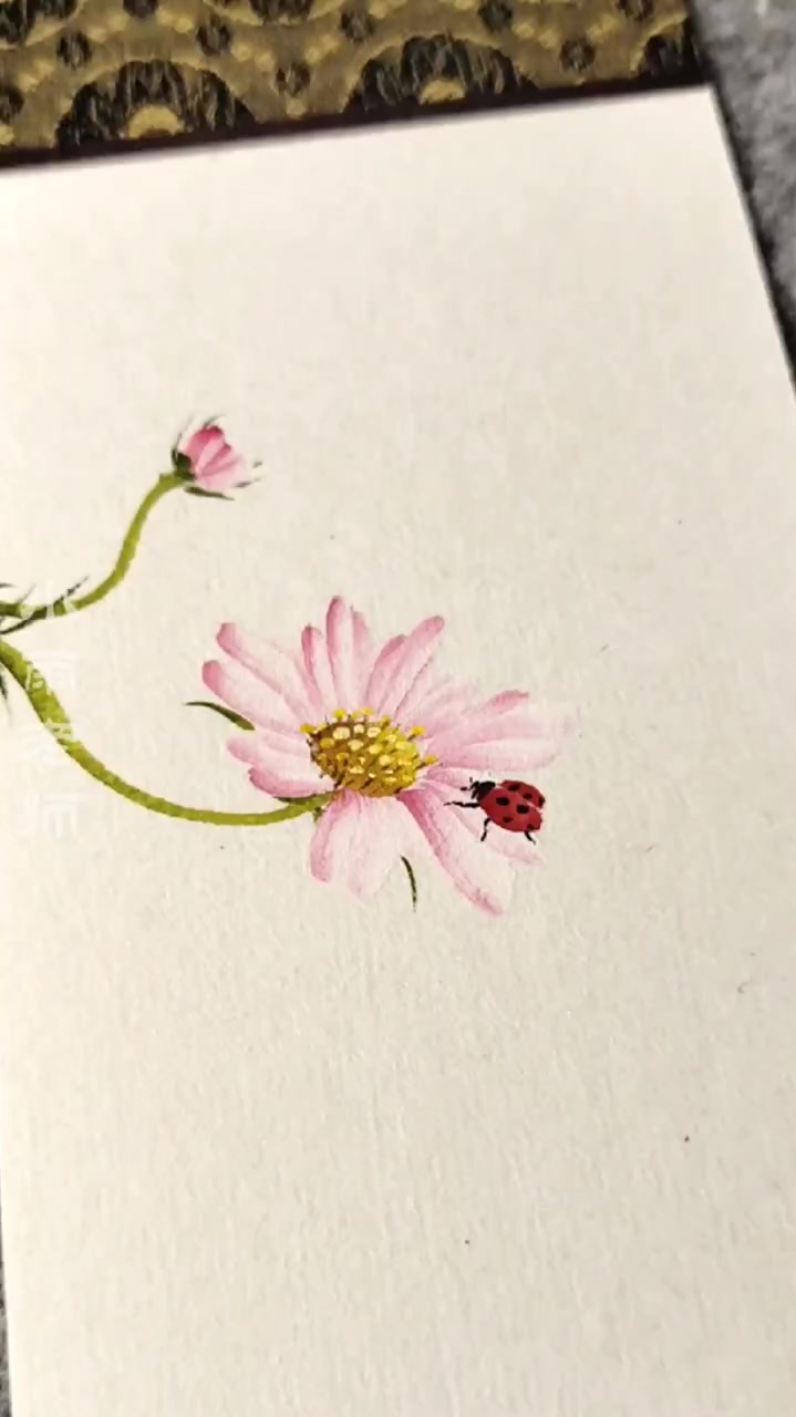 格桑花开,国画教学