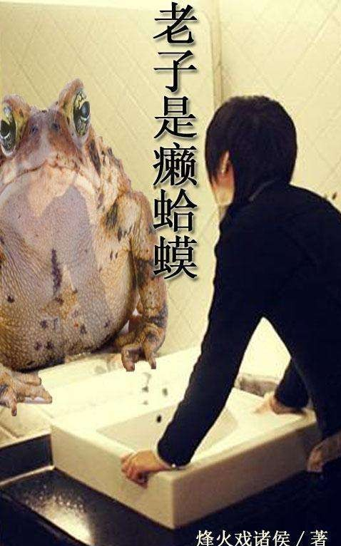 后宫小说《老子是癞蛤蟆》全部女主角人物形象介绍(配图)