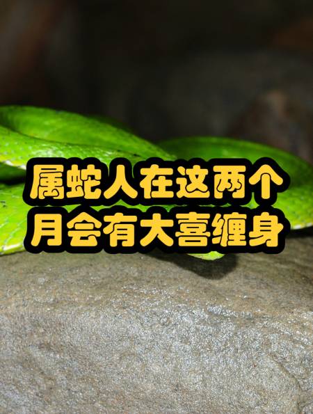 属蛇人在这两个月会有大喜缠身