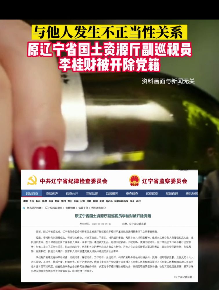 与他人发生不正当性关系,原辽宁省国土资源厅副巡视员李桂财被开除党籍,社会,政法,好看视频